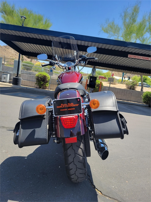 2015 Harley-Davidson Sportster 1200 Custom at Buddy Stubbs Arizona Harley-Davidson