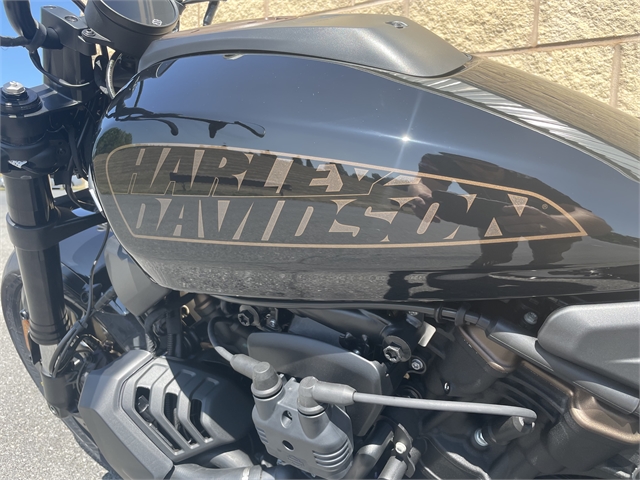 2021 Harley-Davidson Sportster at Skyline Harley-Davidson
