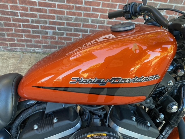 2020 Harley-Davidson Sportster Iron 883 at Lucky Penny Cycles