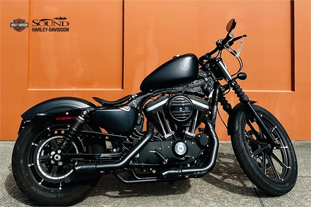 2019 Harley-Davidson Sportster Iron 883 at Sound Harley-Davidson