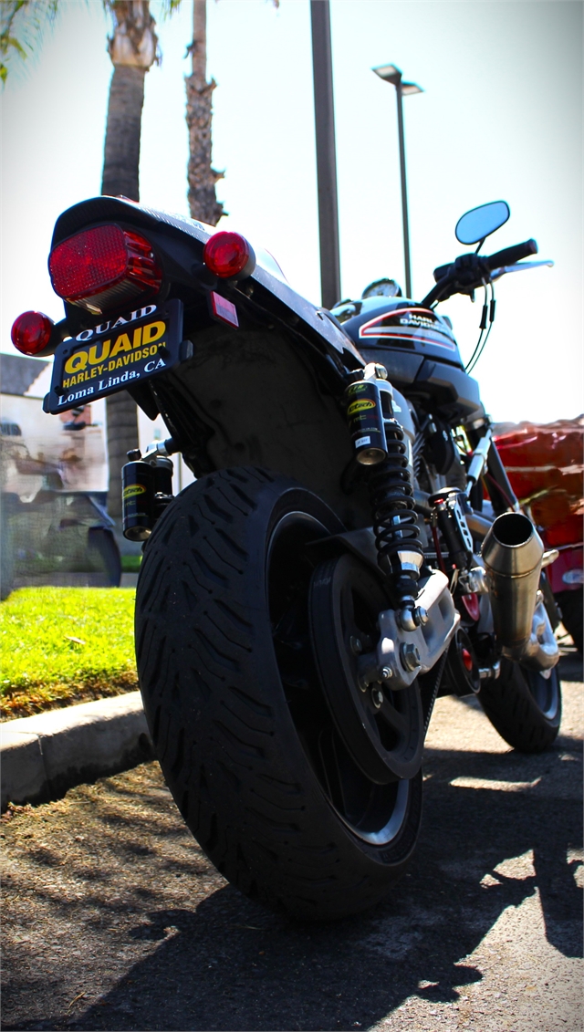 2009 Harley-Davidson Sportster XR1200 at Quaid Harley-Davidson, Loma Linda, CA 92354