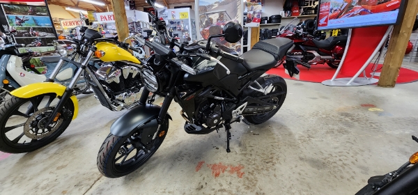 2024 Honda CB300R ABS at Hodag Honda