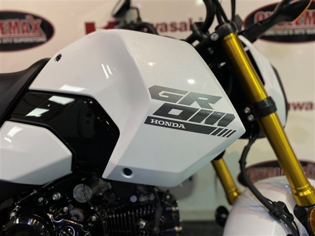 2025 Honda Grom ABS at Cycle Max