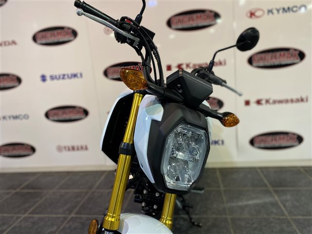 2025 Honda Grom ABS at Cycle Max