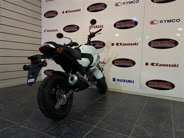 2025 Honda Grom ABS at Cycle Max