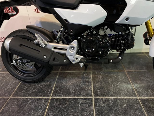 2025 Honda Grom ABS at Cycle Max