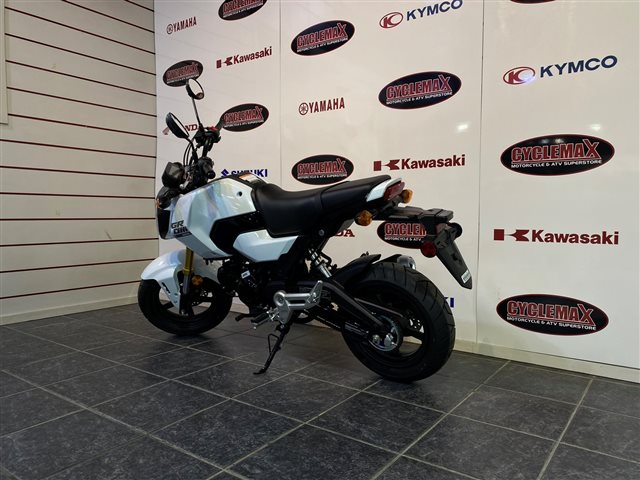 2025 Honda Grom ABS at Cycle Max