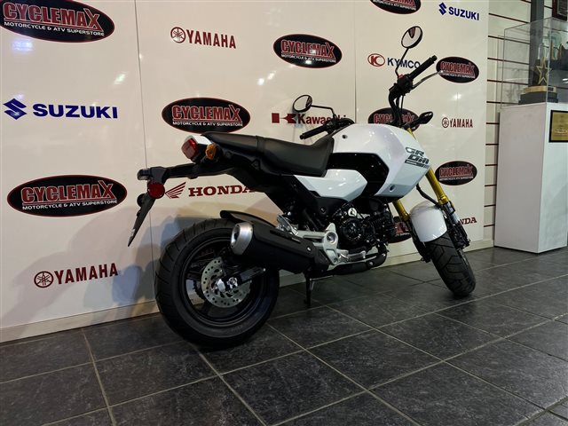 2025 Honda Grom ABS at Cycle Max