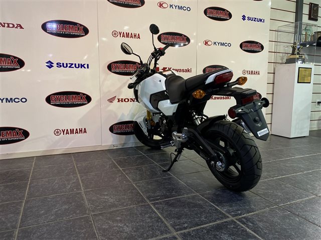 2025 Honda Grom ABS at Cycle Max