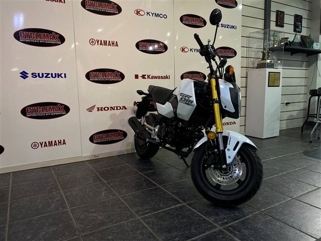 2025 Honda Grom ABS at Cycle Max