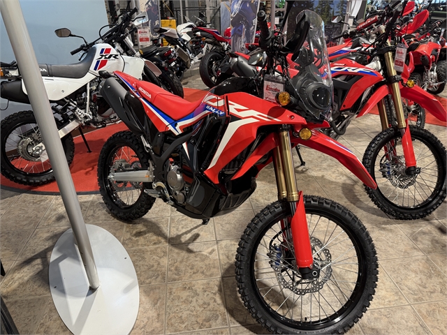 2024 Honda CRF 300L Rally ABS at Ehlerding Motorsports