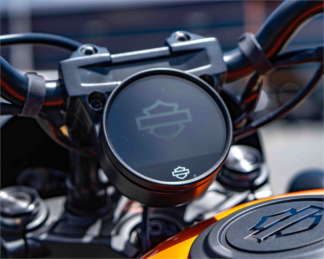 2024 Harley-Davidson Sportster Nightster Special at Speedway Harley-Davidson