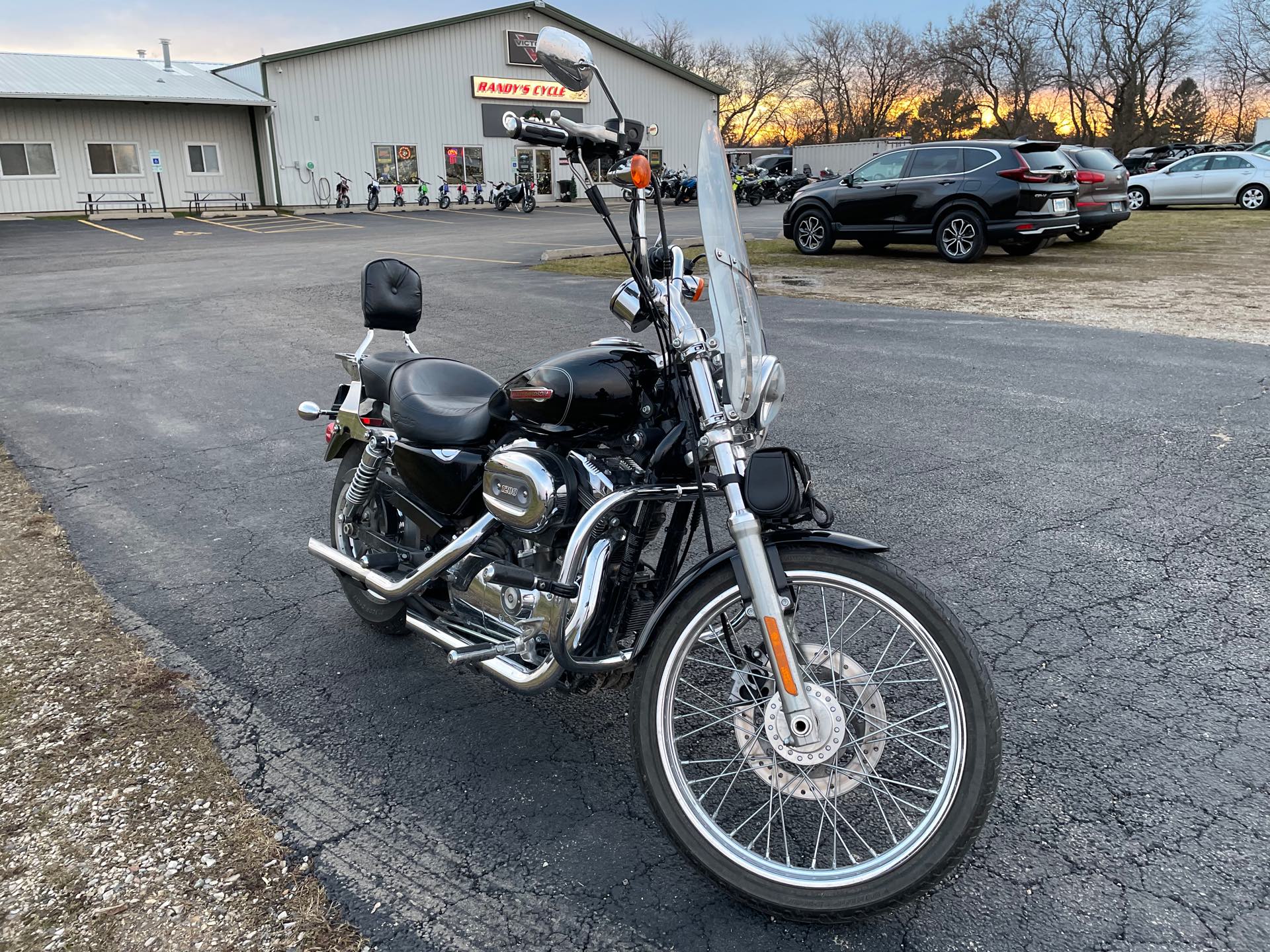 2009 Harley-Davidson Sportster 1200 Custom at Randy's Cycle