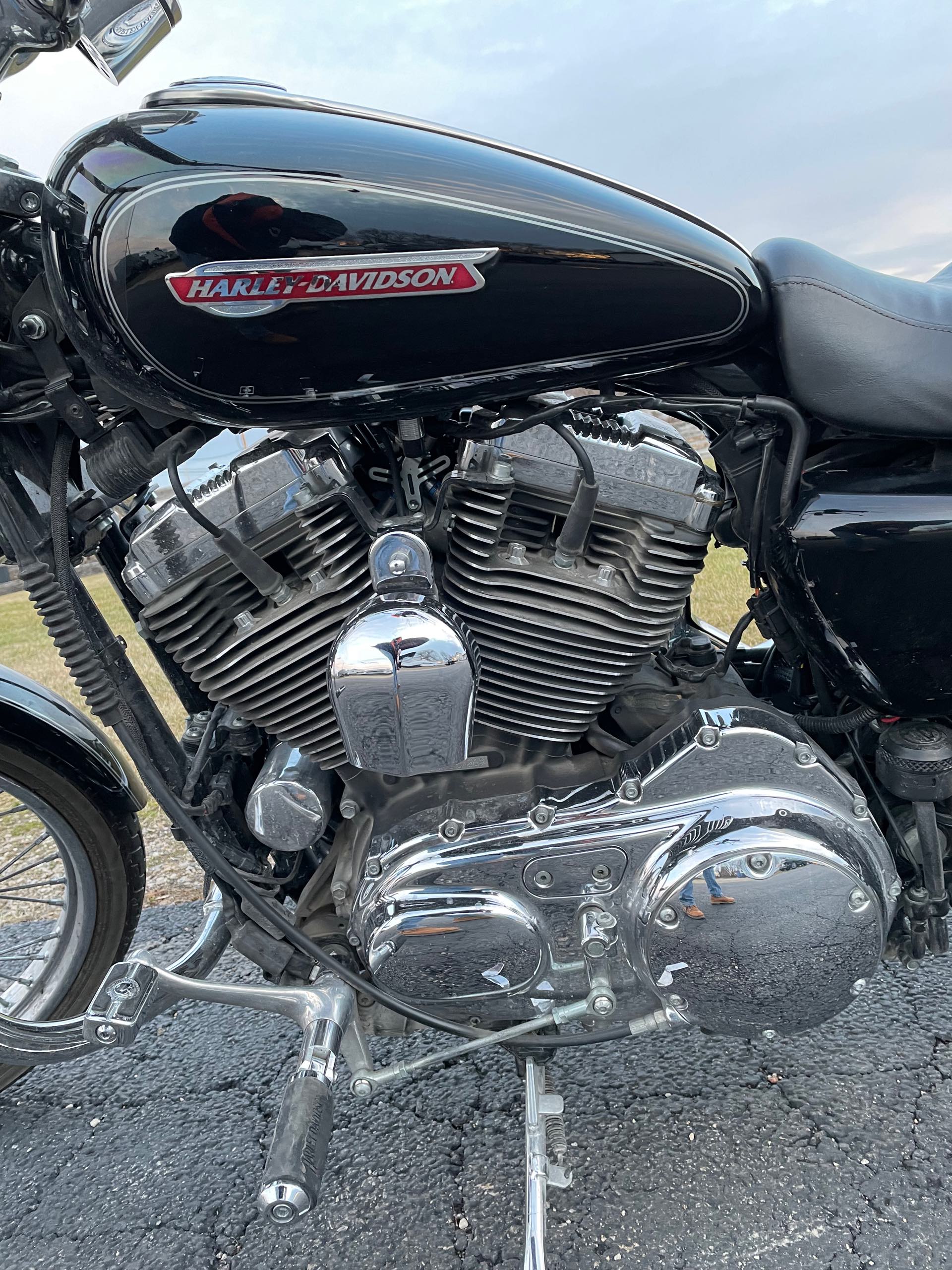 2009 Harley-Davidson Sportster 1200 Custom at Randy's Cycle