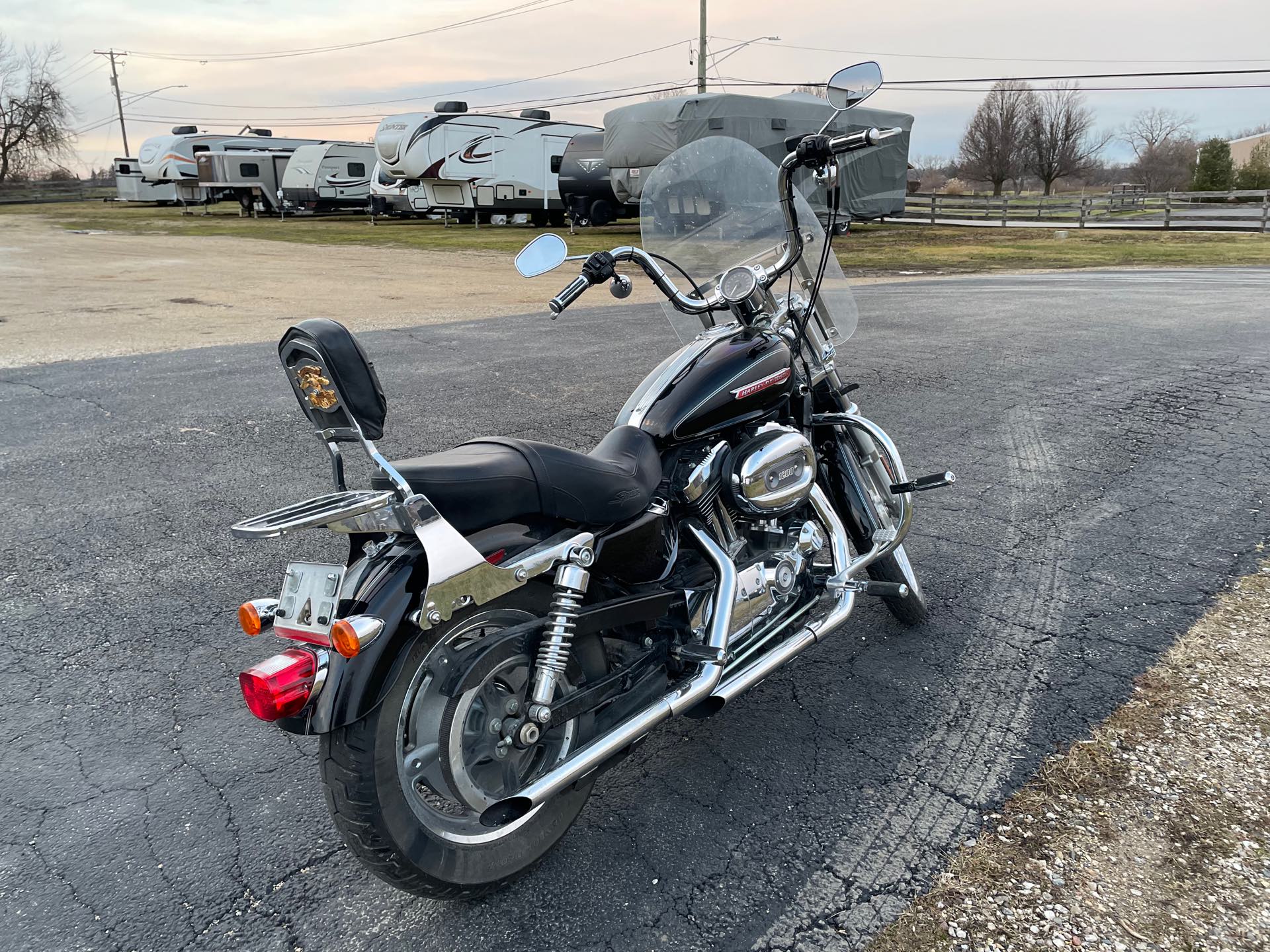 2009 Harley-Davidson Sportster 1200 Custom at Randy's Cycle