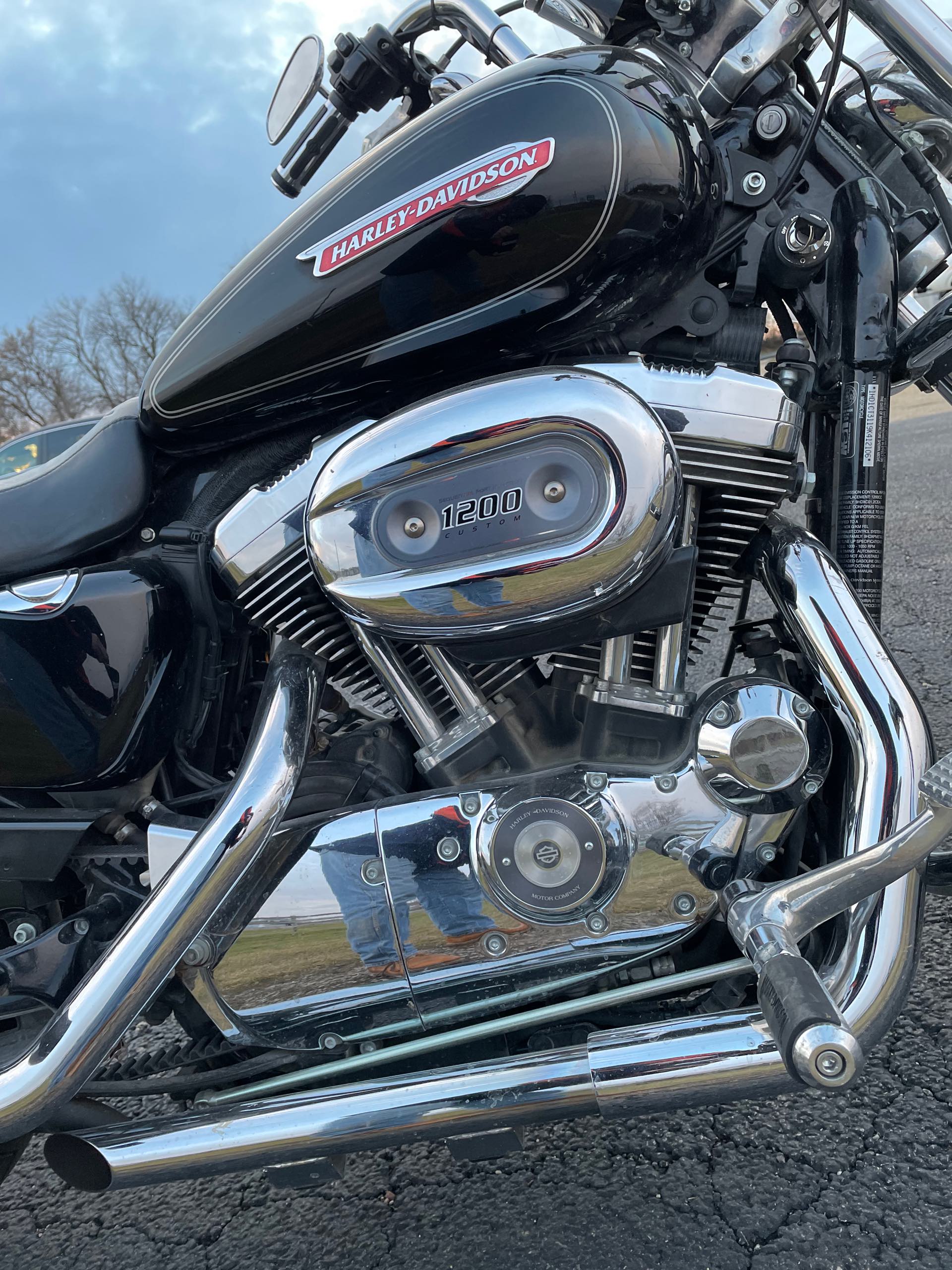 2009 Harley-Davidson Sportster 1200 Custom at Randy's Cycle