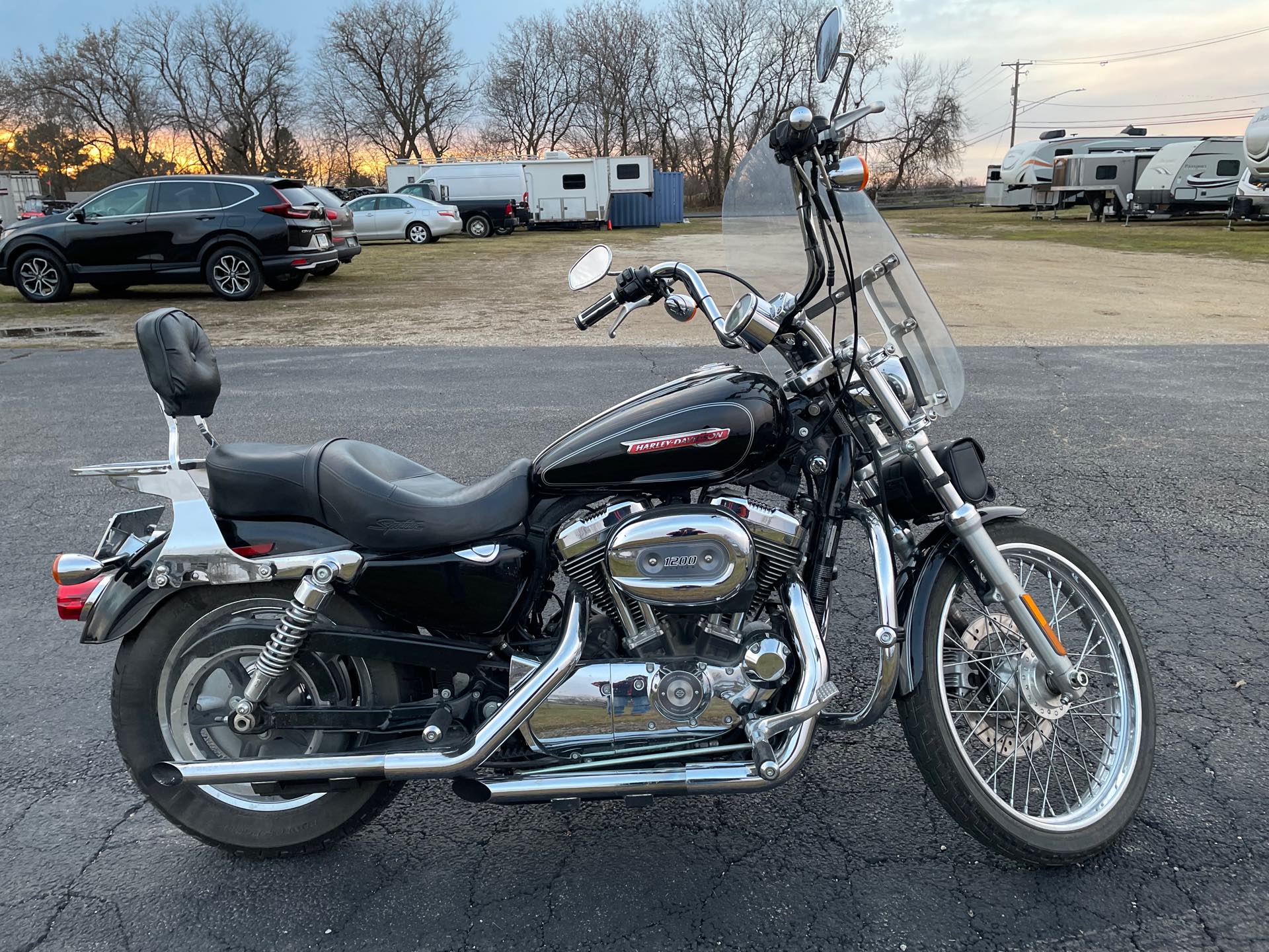 2009 Harley-Davidson Sportster 1200 Custom at Randy's Cycle