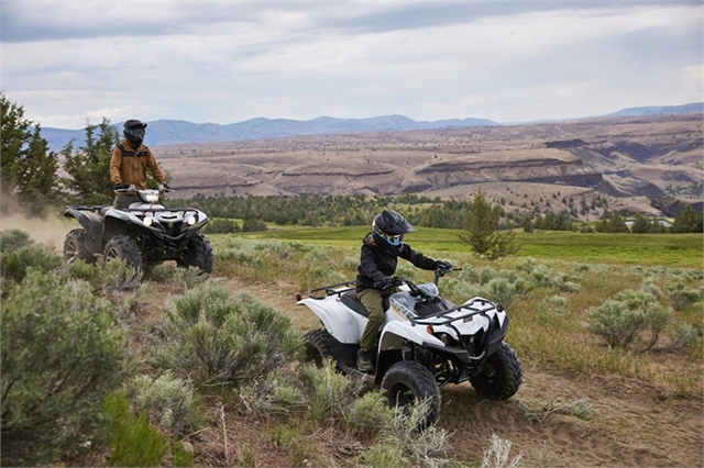 2024 Yamaha Grizzly 90 at Cycle Max