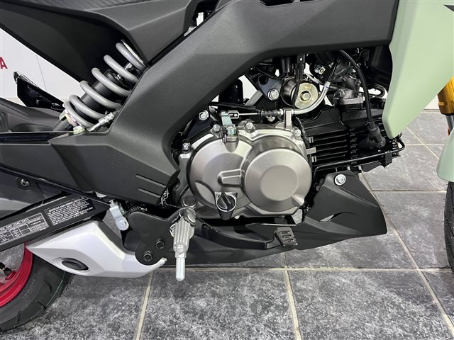 2023 Kawasaki Z125 PRO Base at Cycle Max