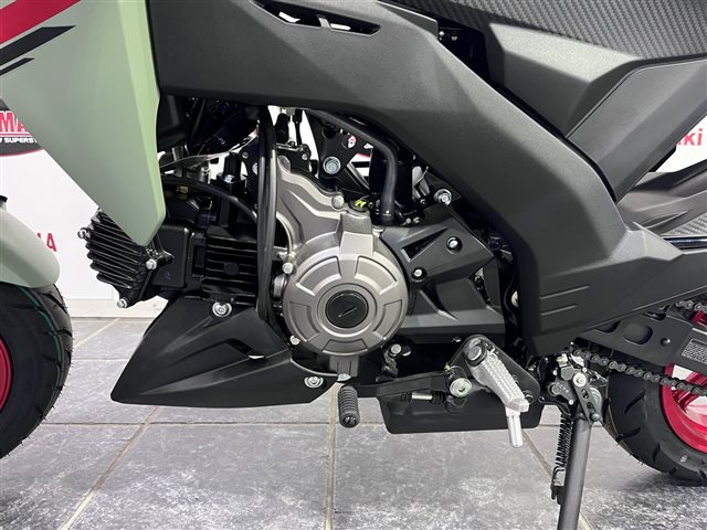 2023 Kawasaki Z125 PRO Base at Cycle Max