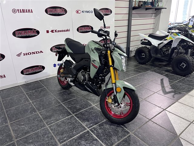 2023 Kawasaki Z125 PRO Base at Cycle Max