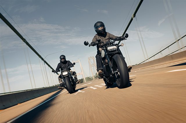2024 Harley-Davidson Sportster at San Jose Harley-Davidson