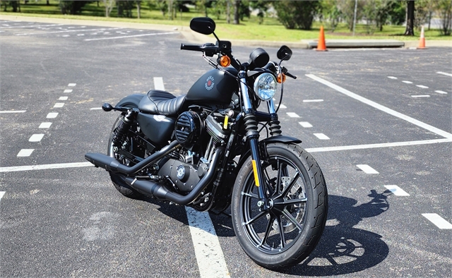 2022 Harley-Davidson Sportster Iron 883 at All American Harley-Davidson, Hughesville, MD 20637