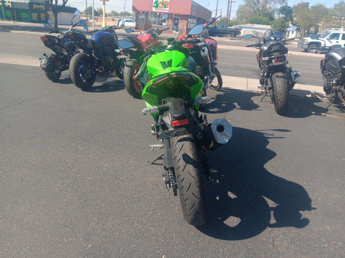 2024 Kawasaki Ninja 500 KRT Edition SE ABS at Bobby J's Yamaha, Albuquerque, NM 87110