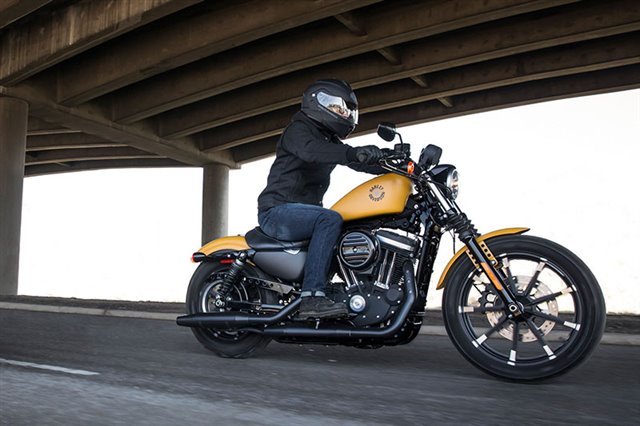 2019 Harley-Davidson Sportster Iron 883 at Skyline Harley-Davidson