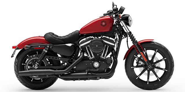 2019 Harley-Davidson Sportster Iron 883 at Skyline Harley-Davidson