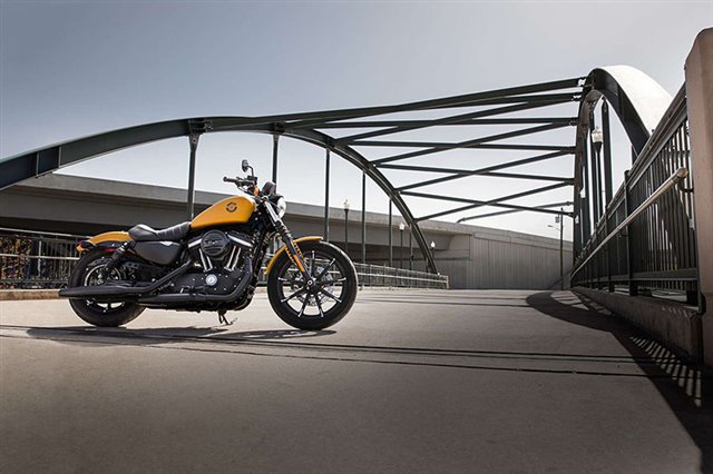 2019 Harley-Davidson Sportster Iron 883 at Skyline Harley-Davidson