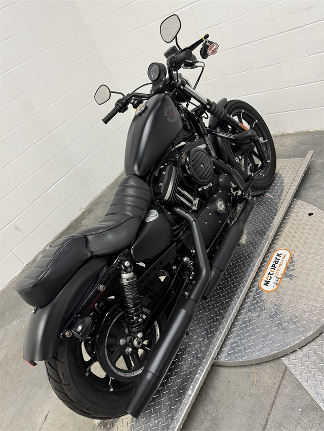 2019 Harley-Davidson Sportster Iron 883 at Skyline Harley-Davidson