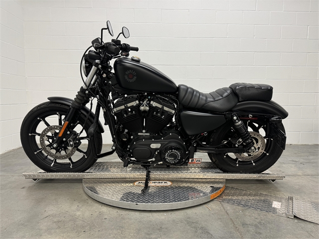 2019 Harley-Davidson Sportster Iron 883 at Skyline Harley-Davidson