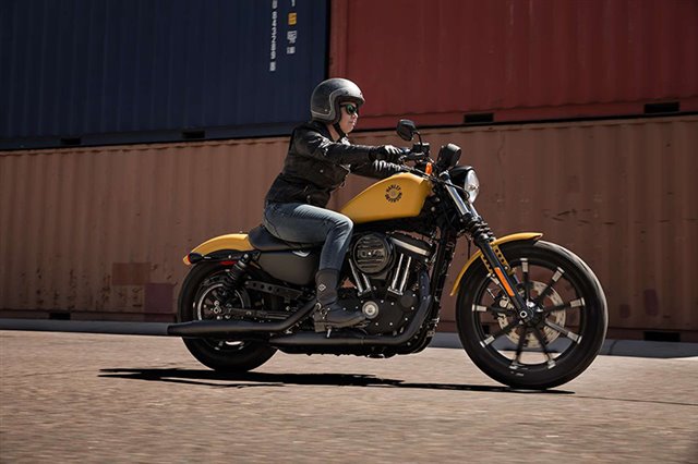 2019 Harley-Davidson Sportster Iron 883 at Skyline Harley-Davidson