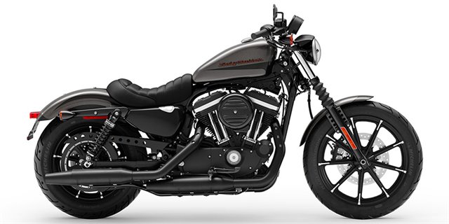 2019 Harley-Davidson Sportster Iron 883 at Skyline Harley-Davidson