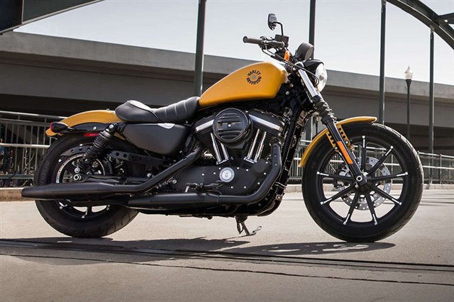 2019 Harley-Davidson Sportster Iron 883 at Skyline Harley-Davidson