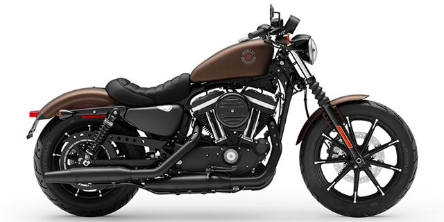 2019 Harley-Davidson Sportster Iron 883 at Skyline Harley-Davidson