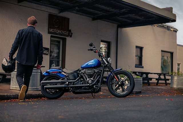 2024 Harley-Davidson Softail Street Bob 114 at Arkport Cycles