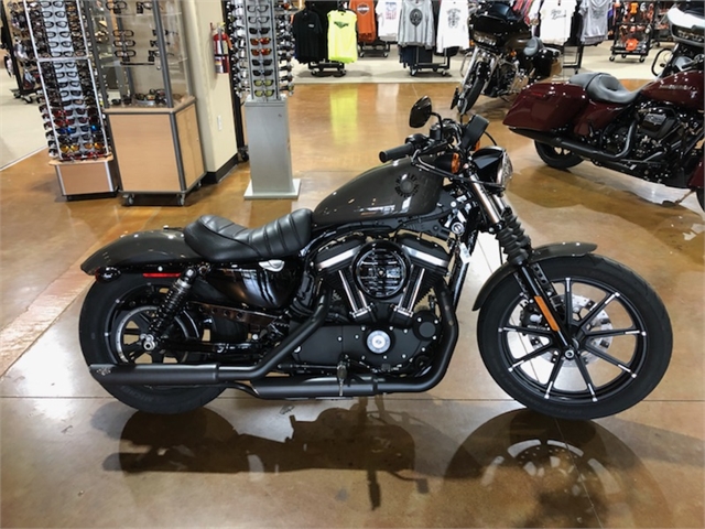 2019 Harley-Davidson Sportster Iron 883 | Steel Horse Harley-Davidson®