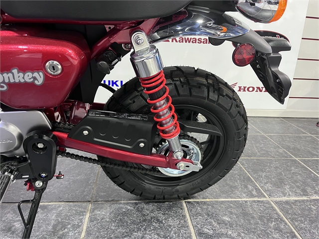 2023 Honda Monkey ABS at Cycle Max