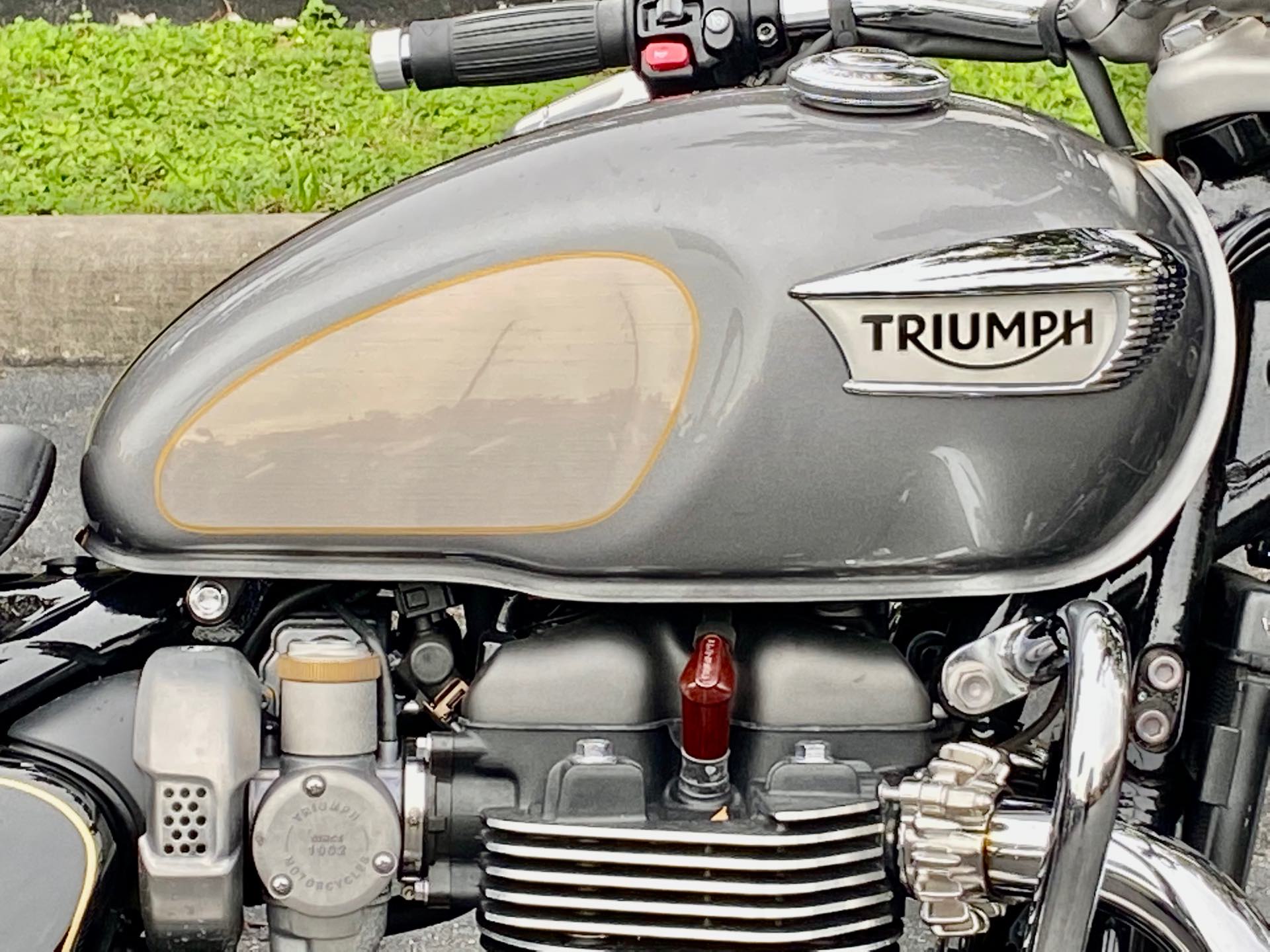 2022 Triumph Bonneville Speedmaster Base at Tampa Triumph, Tampa, FL 33614
