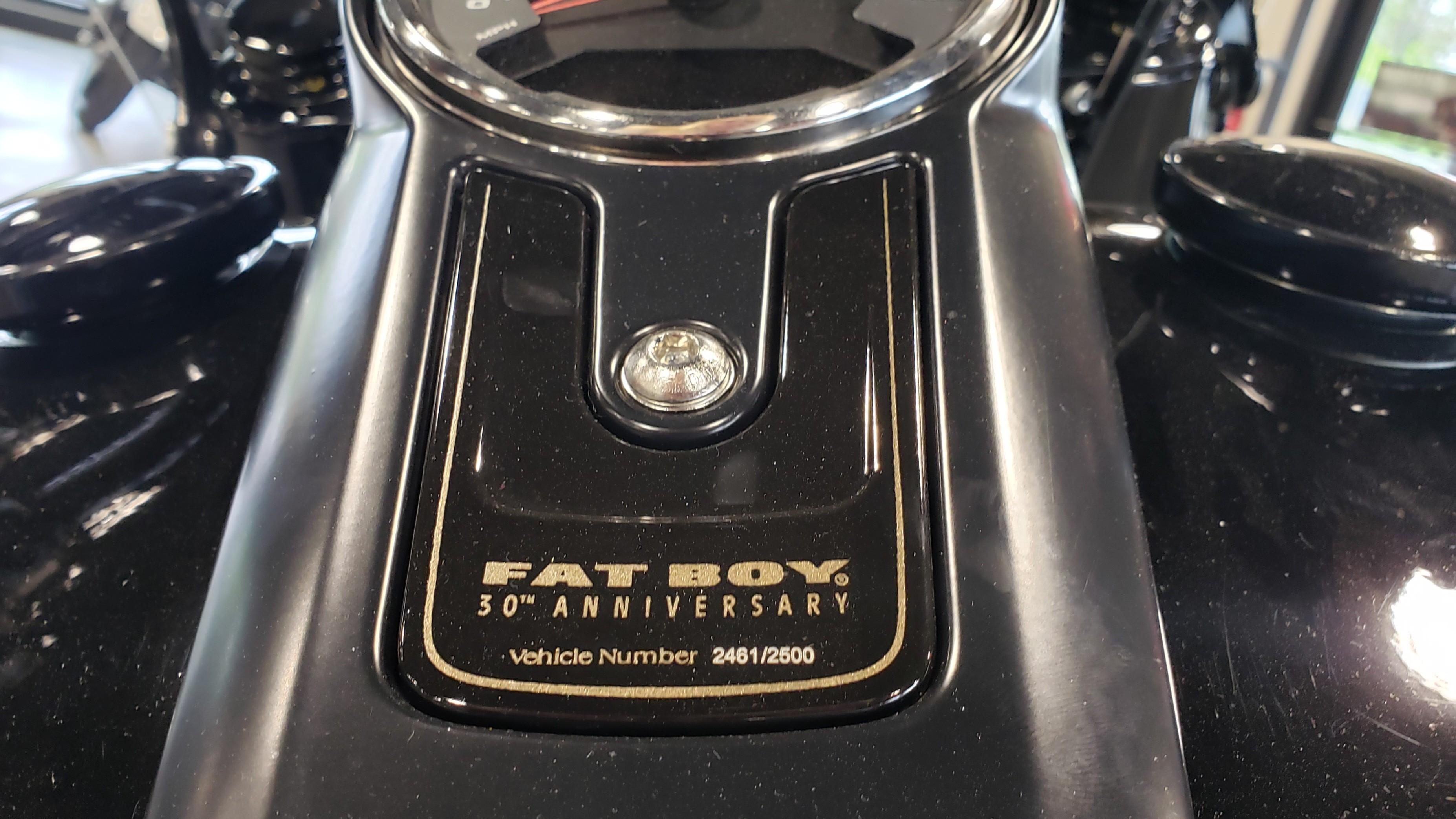 2020 Harley-Davidson Softail Fat Boy 114 30th Anniversary Limited Edition at Keystone Harley-Davidson