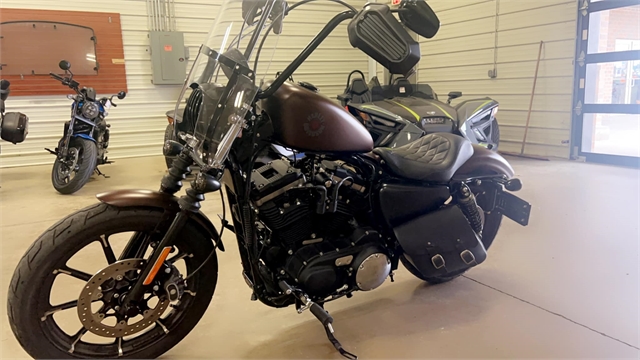 2019 Harley-Davidson Sportster Iron 883 at Southern Illinois Motorsports