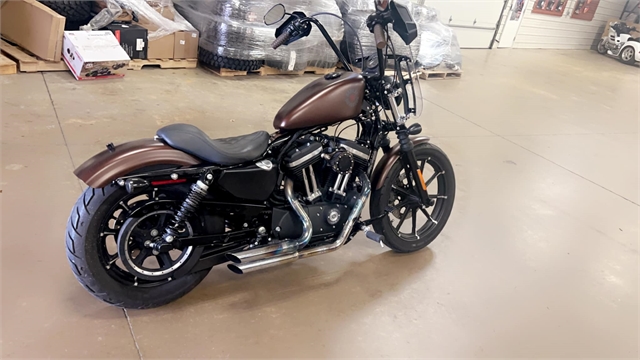 2019 Harley-Davidson Sportster Iron 883 at Southern Illinois Motorsports
