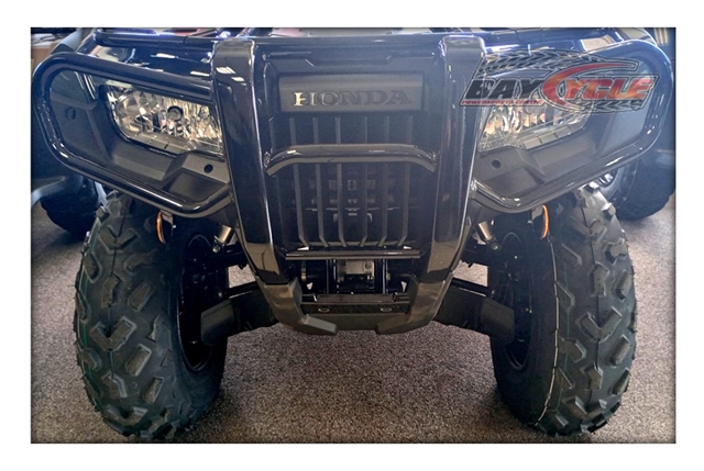 2024 Honda FourTrax Foreman Rubicon 4x4 Automatic DCT at Bay Cycle Sales