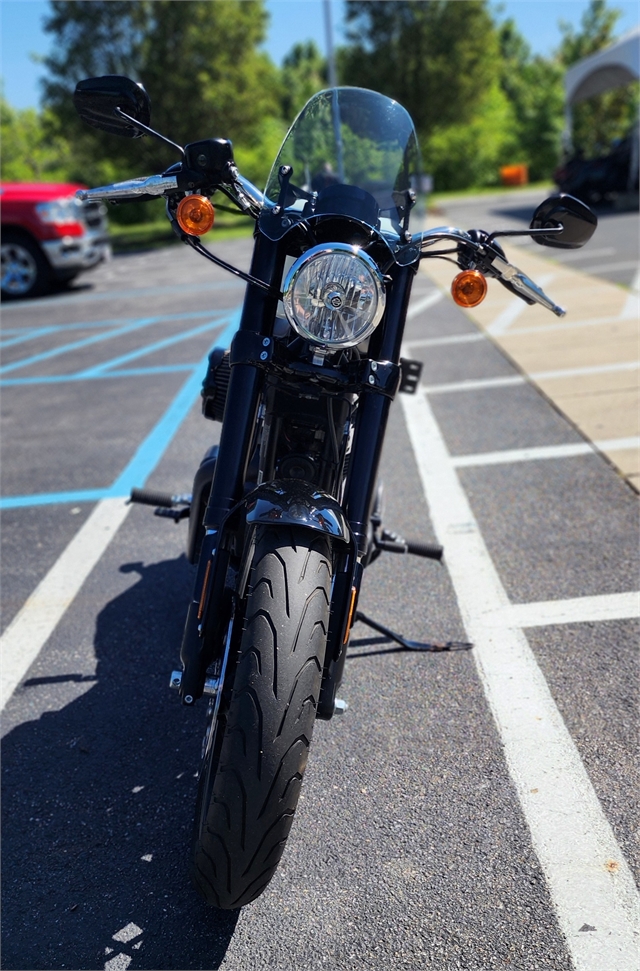 2019 Harley-Davidson Sportster Roadster at All American Harley-Davidson, Hughesville, MD 20637