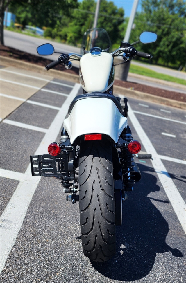 2019 Harley-Davidson Sportster Roadster at All American Harley-Davidson, Hughesville, MD 20637