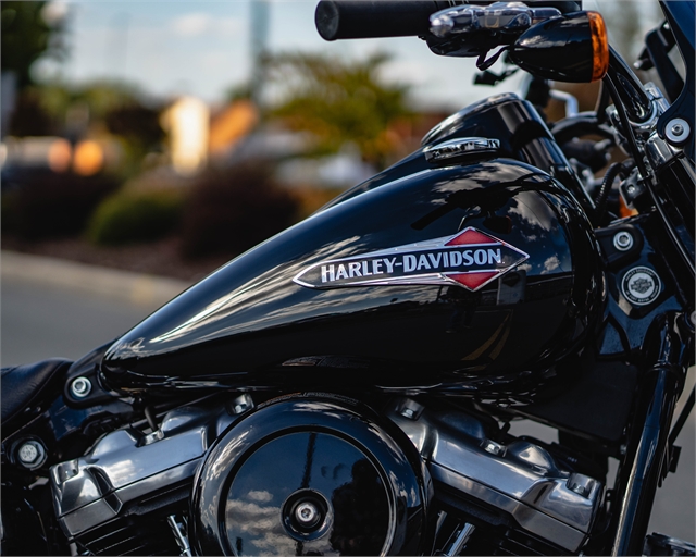 2019 Harley-Davidson Softail Slim at Speedway Harley-Davidson