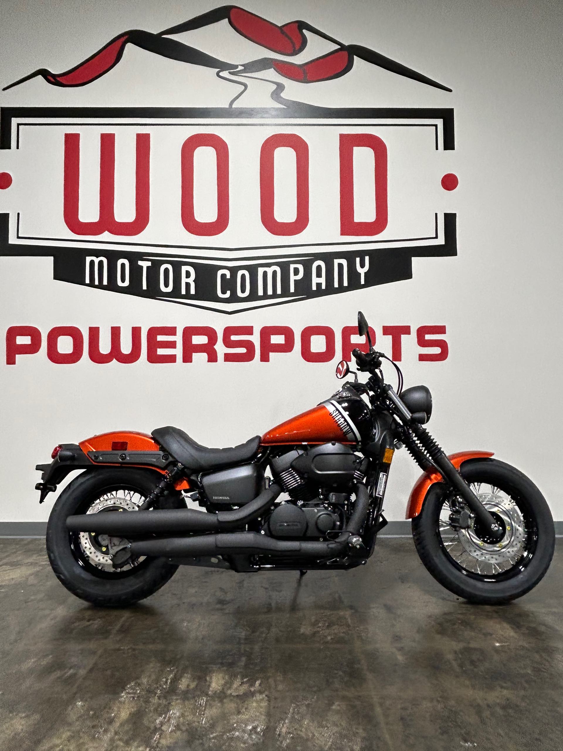 2024 Honda Shadow Phantom at Wood Powersports Harrison