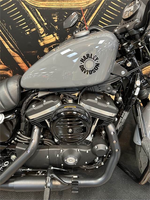 2022 Harley-Davidson Sportster Iron 883 at Hellbender Harley-Davidson